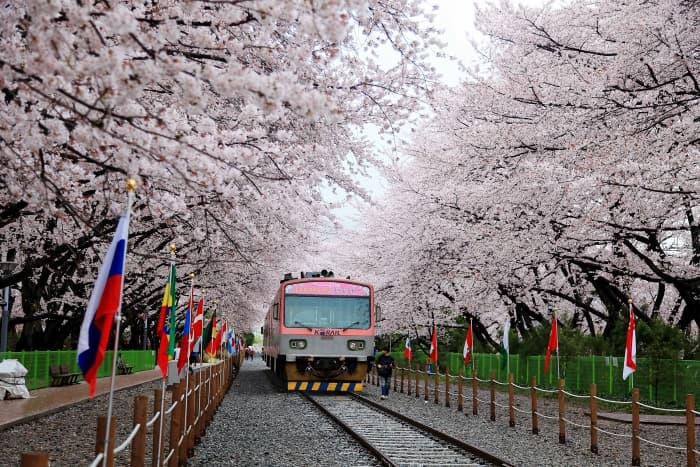 크라운관광호텔 창원